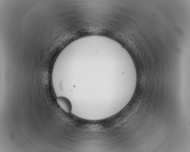 X0000112980689200909171339