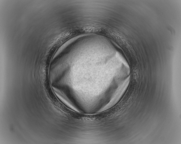 X0000112980690200909171339