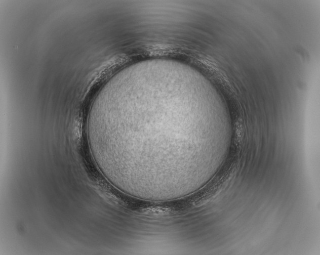 X0000112980691200909171339