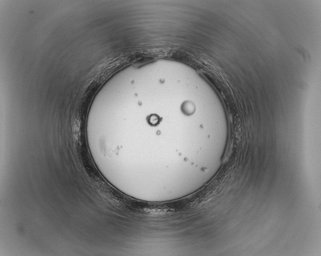 X0000112980693200909171339