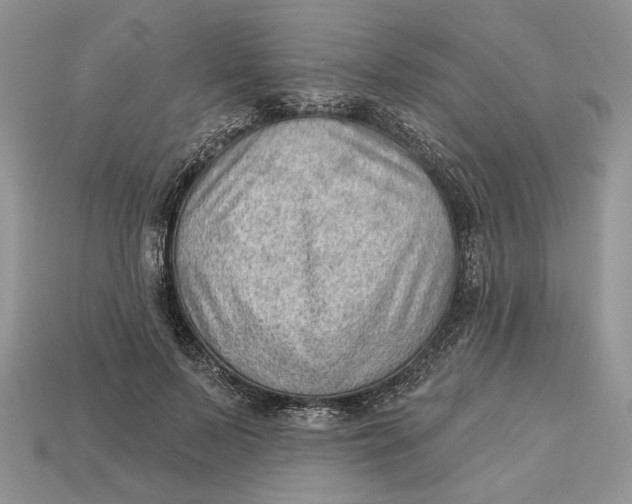 X0000112980695200909171339