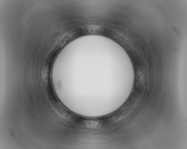 X0000112980698200909171338