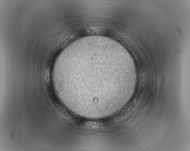 X0000112980699200909171338