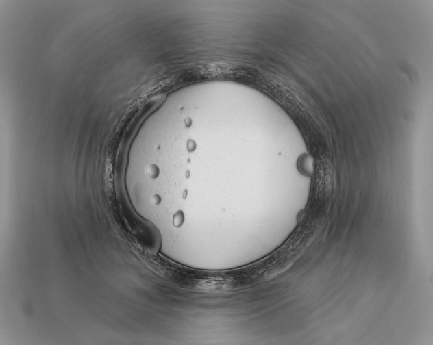 X0000112980700200909171338