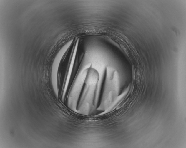 X0000112980701200909171338