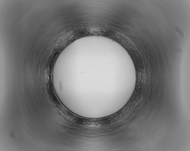 X0000112980702200909171338