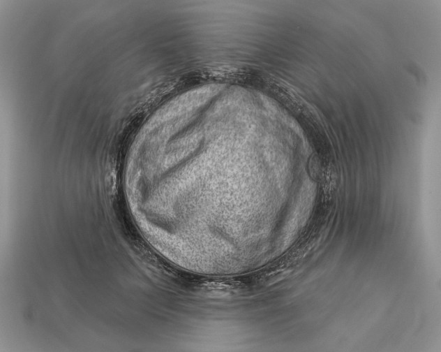 X0000112980703200909171338