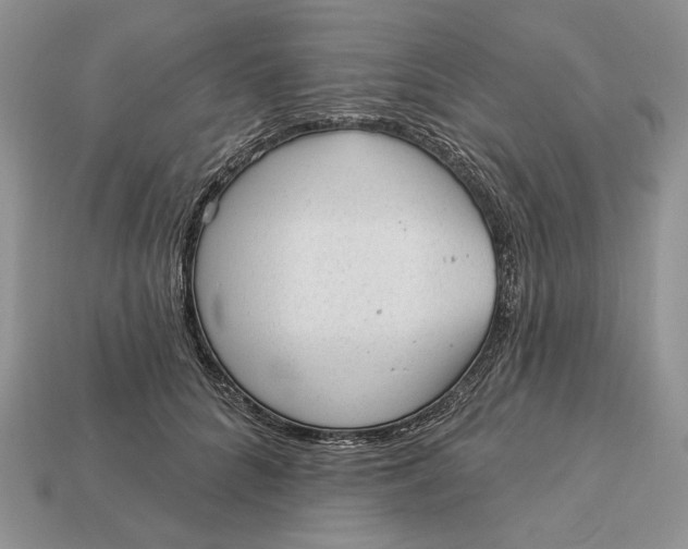 X0000112980704200909171338