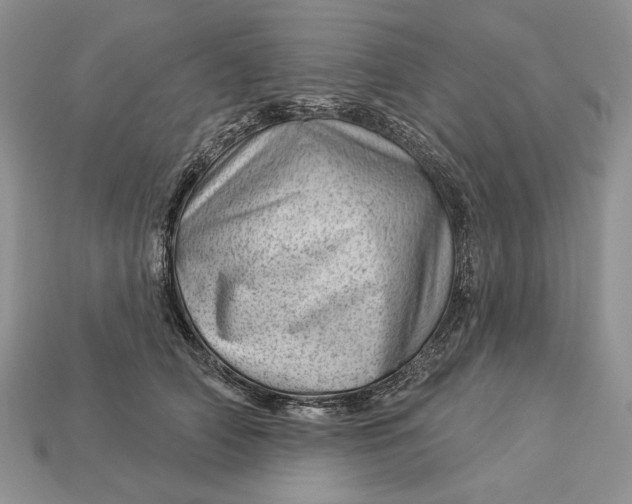 X0000112980706200909171338