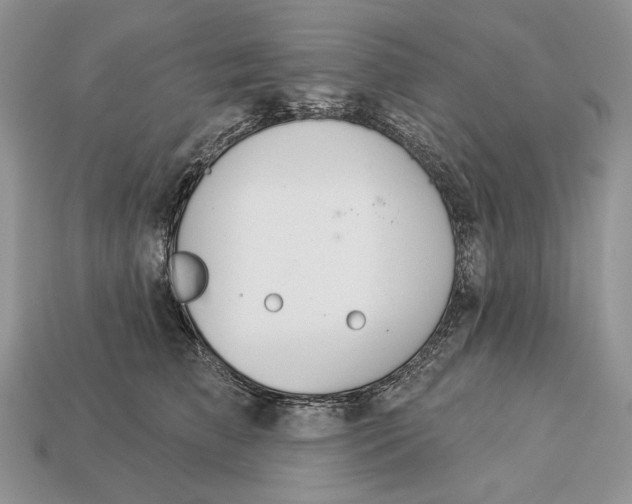 X0000112980709200909171338