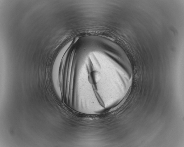 X0000112980712200909171338