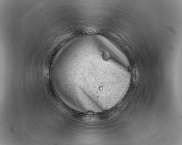 X0000112980714200909171338