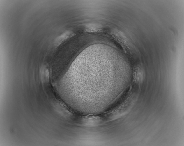 X0000112980716200909171338