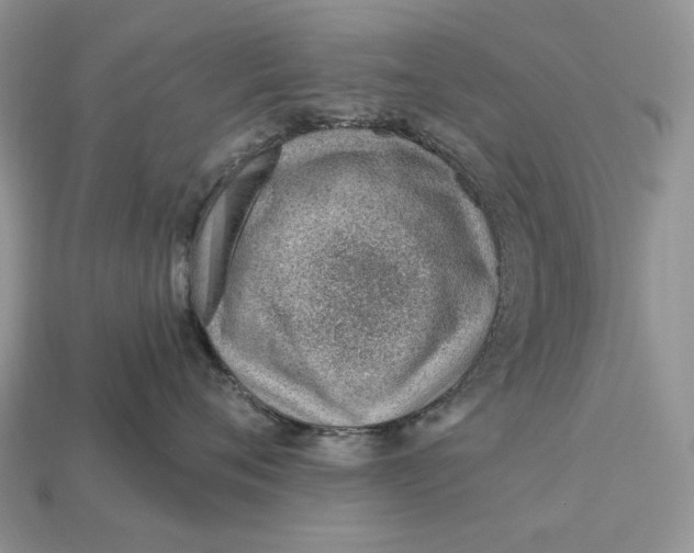 X0000112980720200909171338