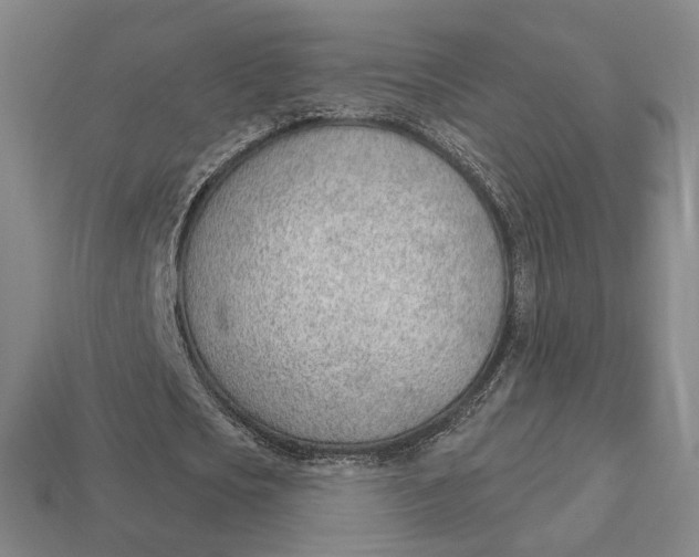 X0000112980721200909171338