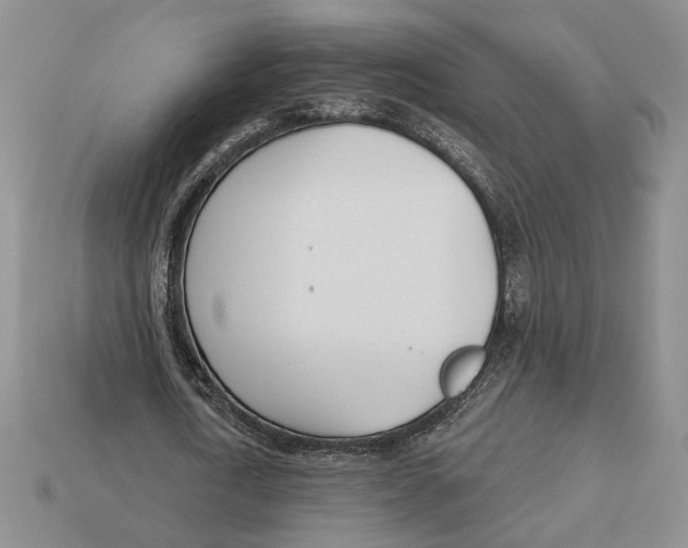 X0000112980722200909171338