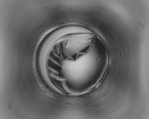 X0000112980724200909171338