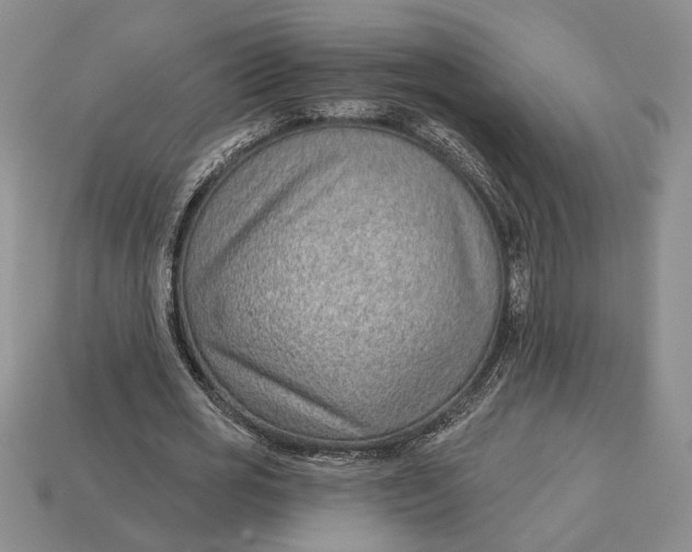 X0000112980725200909171338