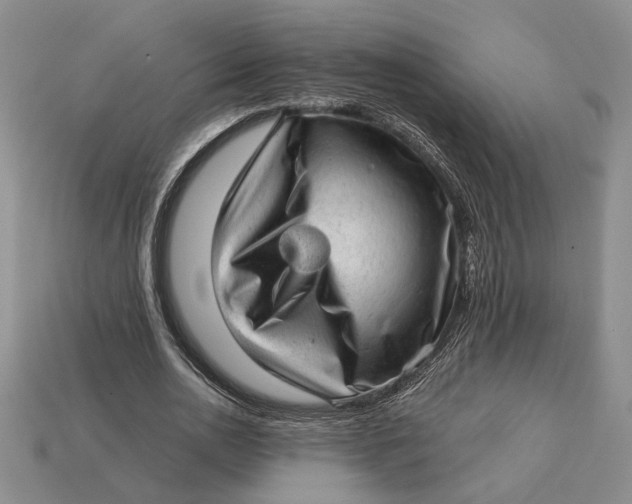 X0000112980726200909171338