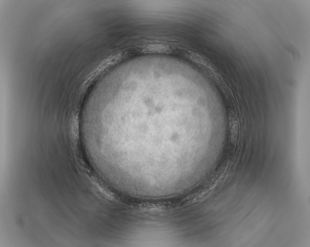 X0000112980729200909171338