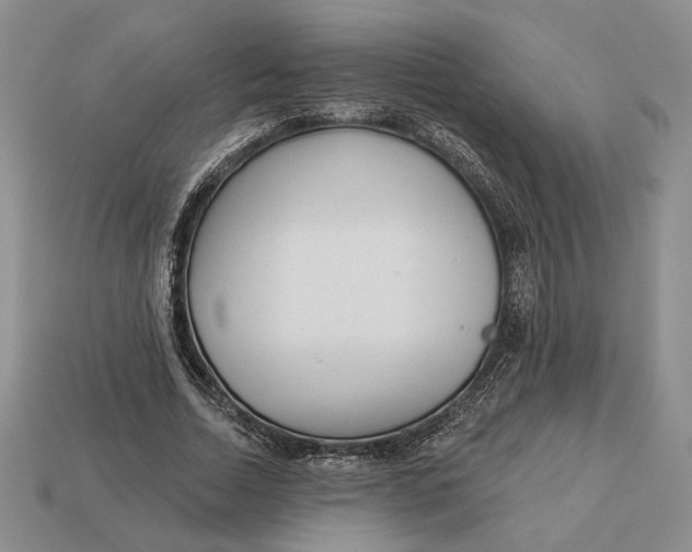 X0000112980730200909171338