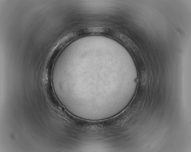 X0000112980731200909171338