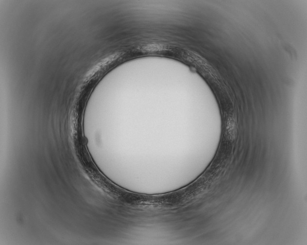 X0000112980732200909171338