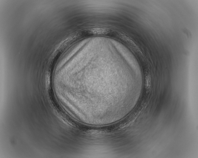 X0000112980733200909171338