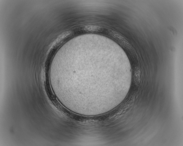 X0000112980734200909171338