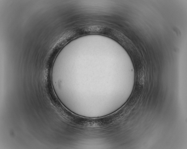 X0000112980735200909171338