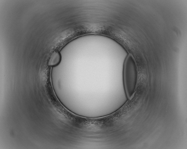 X0000112980736200909171338