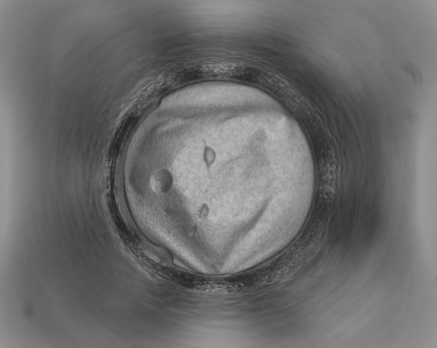 X0000112980738200909171338