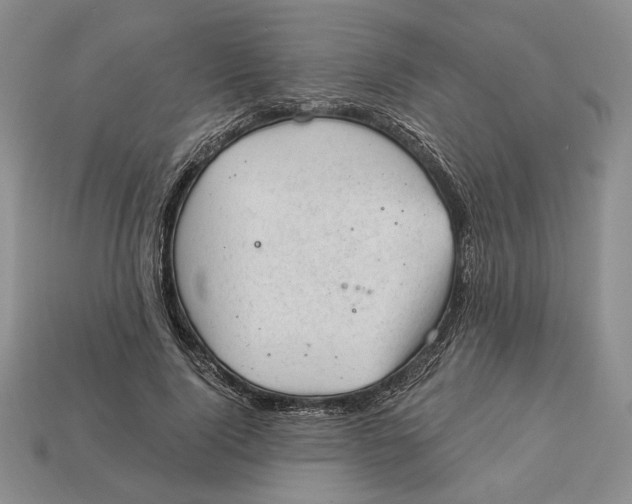 X0000112980740200909171338