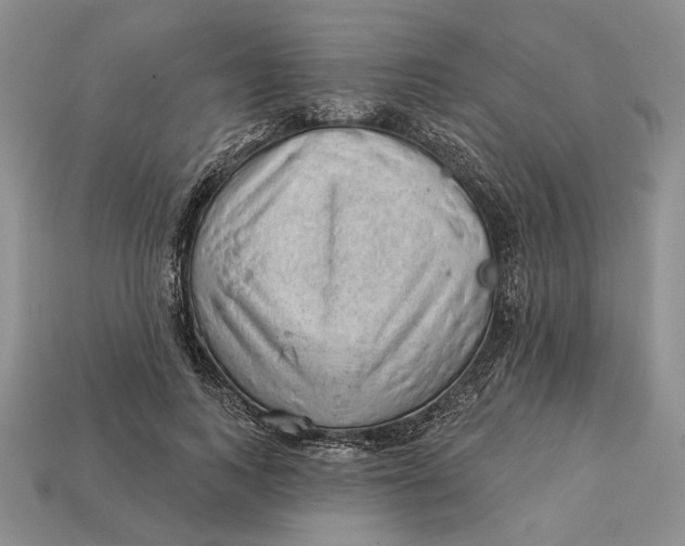 X0000112980743200909171338