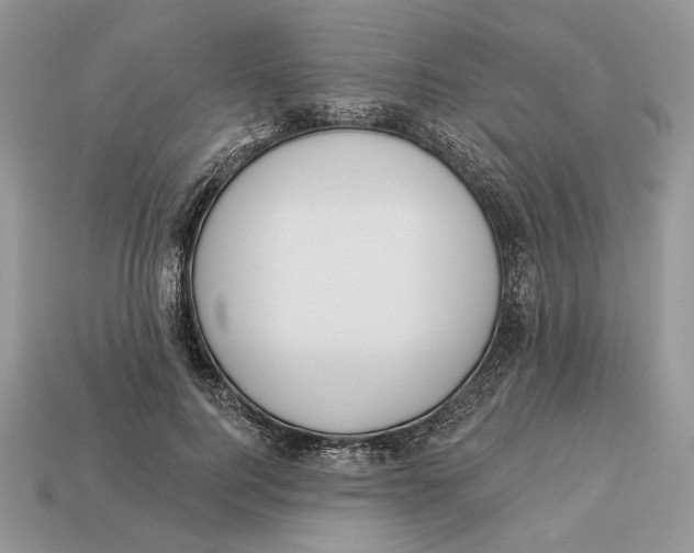 X0000112980744200909171338