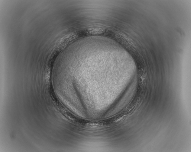 X0000112980745200909171338