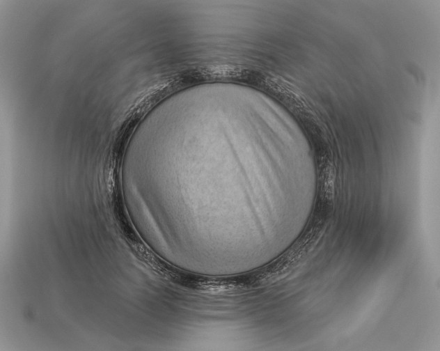 X0000112980746200909171338