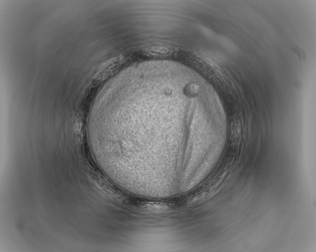 X0000112980749200909171338