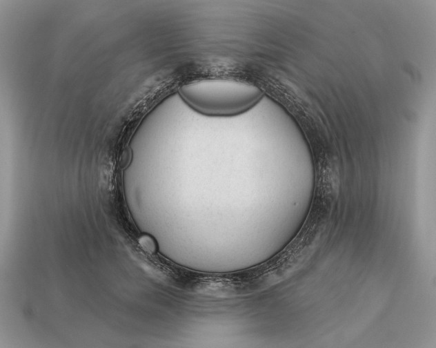 X0000112980750200909171338