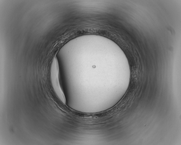 X0000112980752200909171338