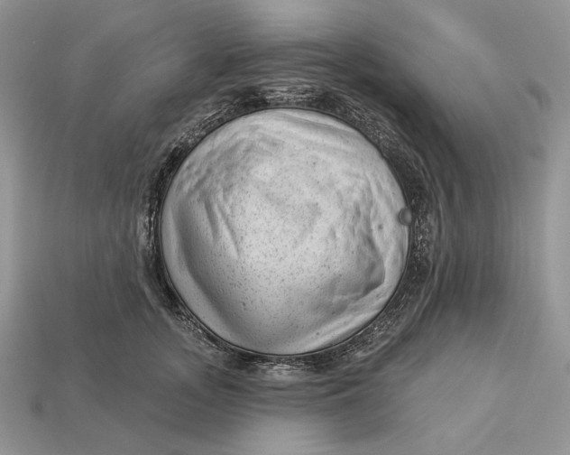 X0000112980755200909171338