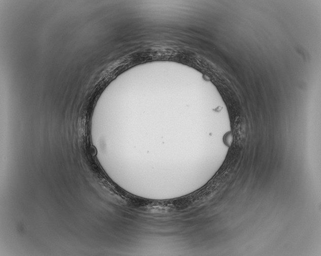 X0000112980756200909171338