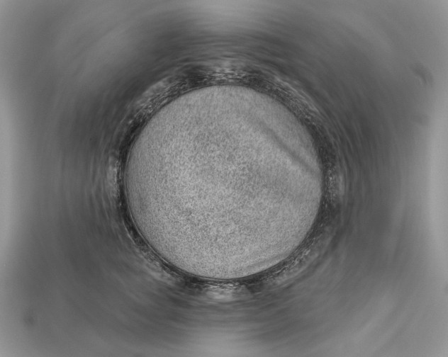 X0000112980757200909171338