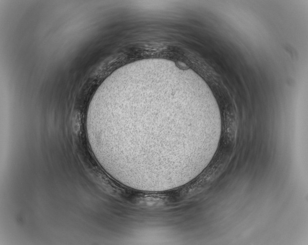 X0000112980758200909171338