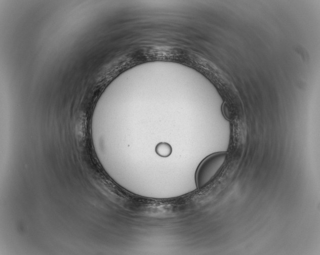 X0000112980760200909171338