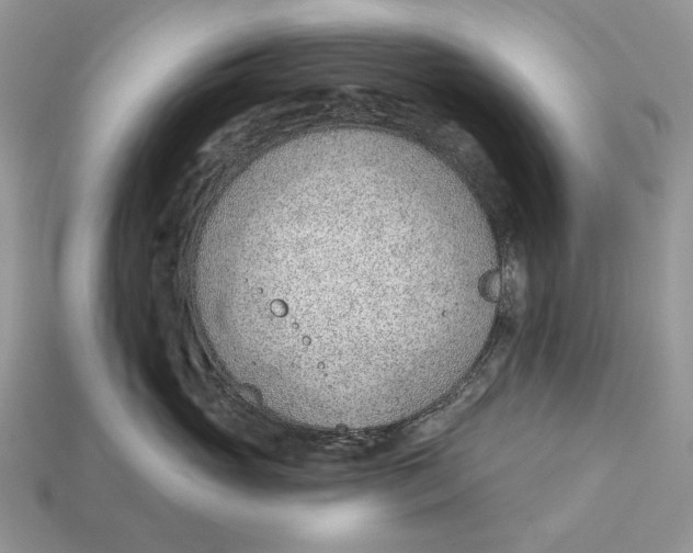 X0000112980765200909171338