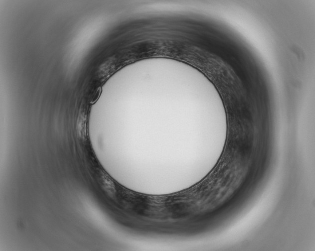 X0000112980766200909171338