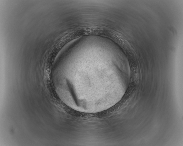 X0000112980770200909171338