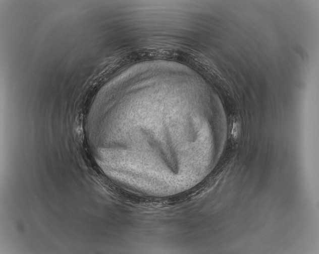 X0000112980771200909171338