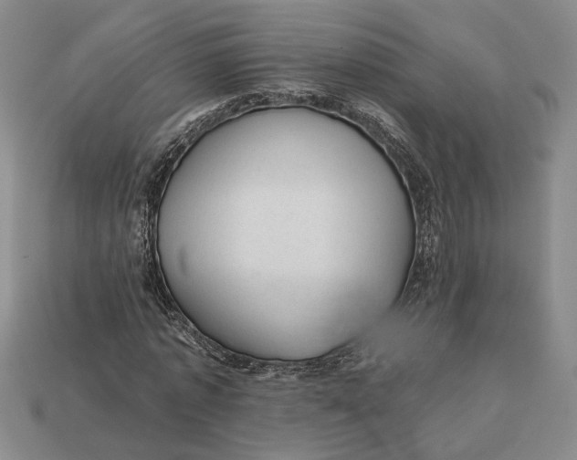 X0000112980773200909171337